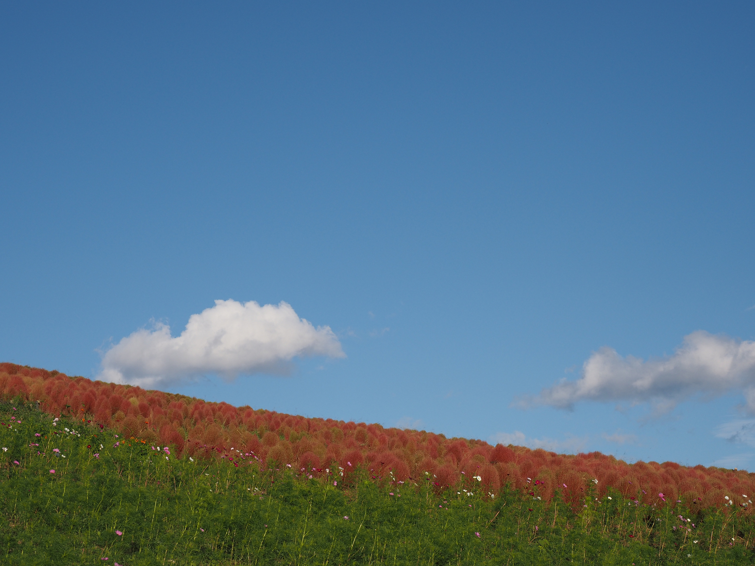 PA070170.jpg