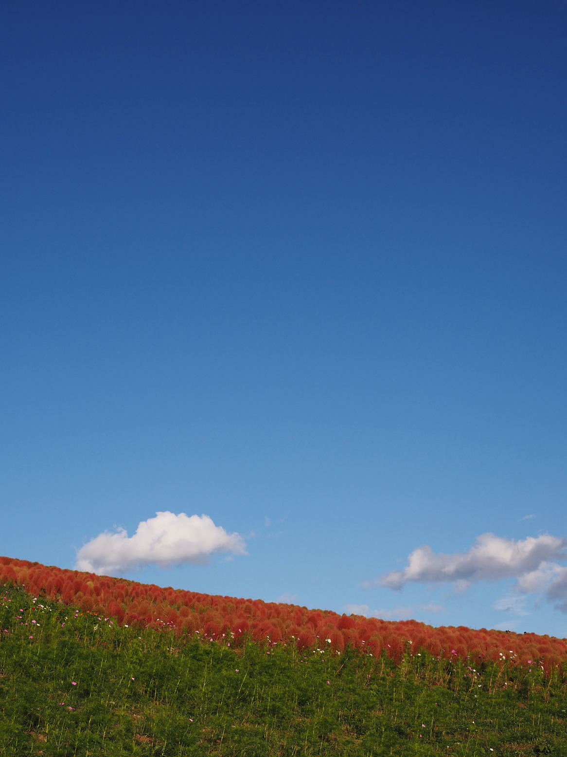 PA070171.jpg