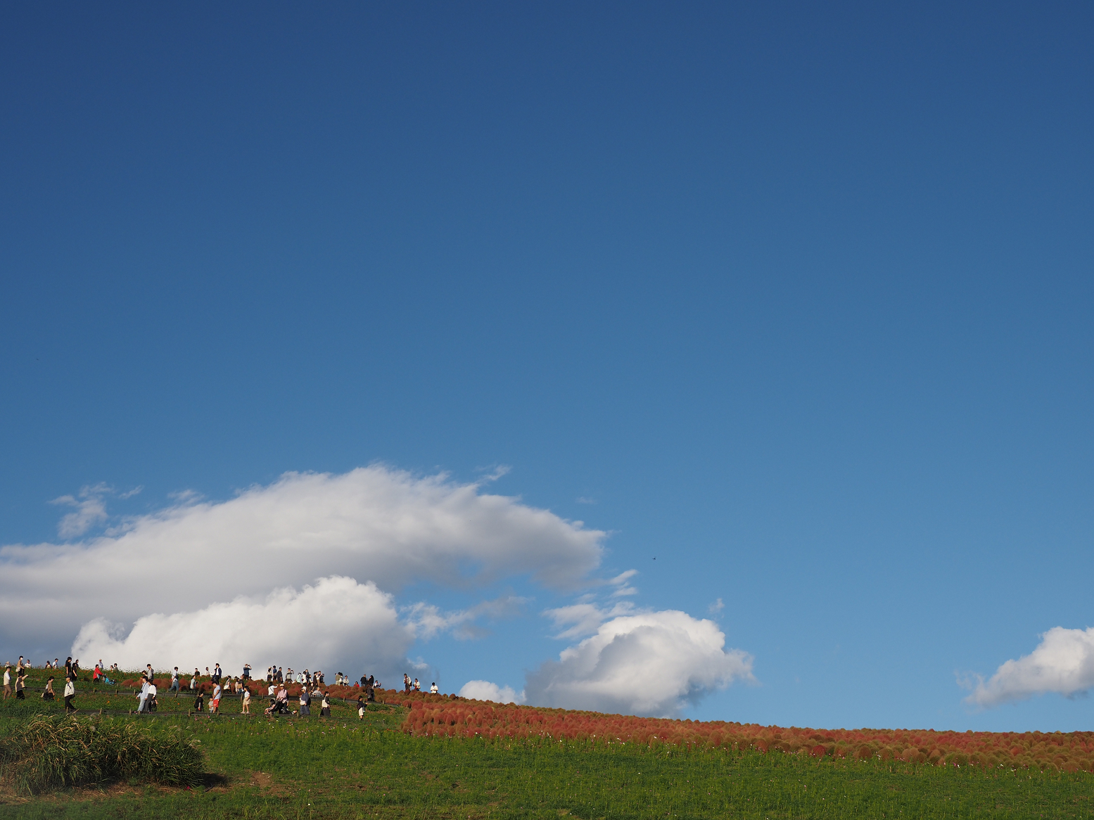 PA070174.jpg