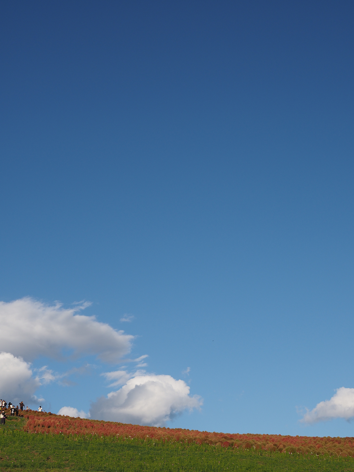 PA070176.jpg