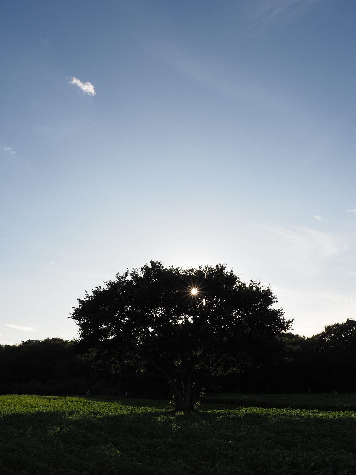 PA070182.jpg