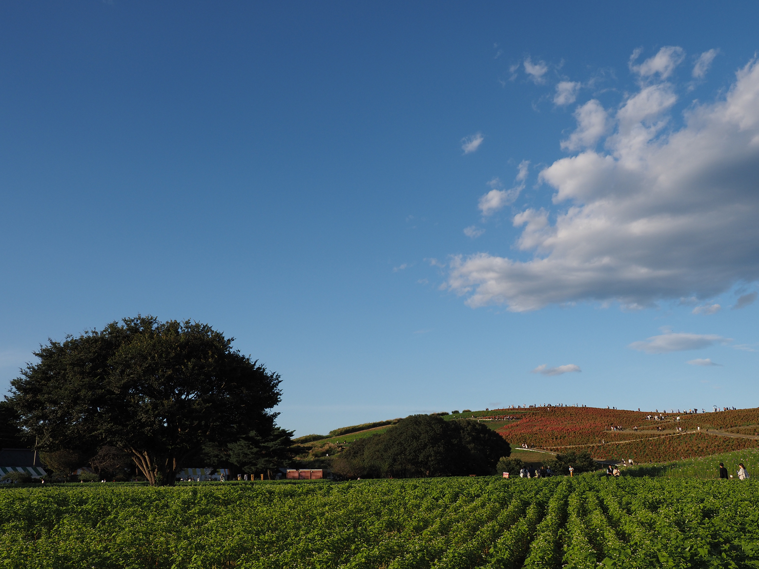 PA070186.jpg