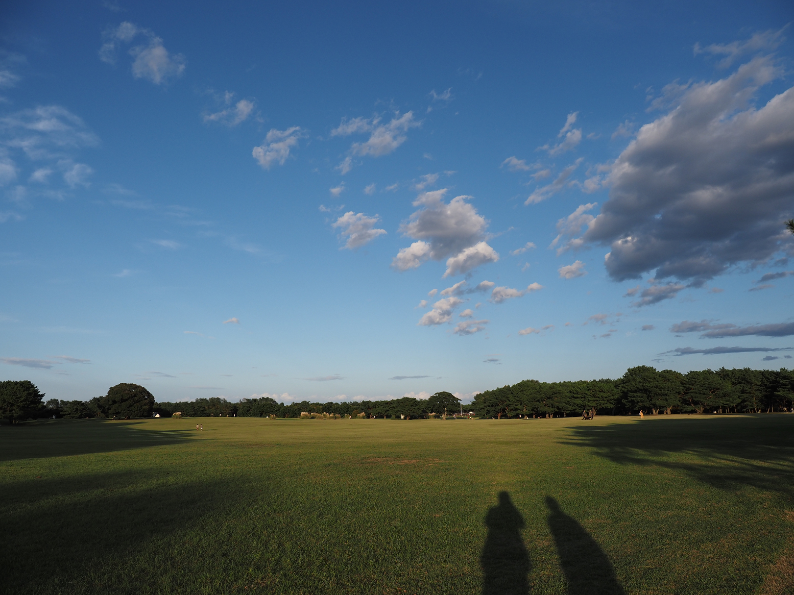 PA070215.jpg