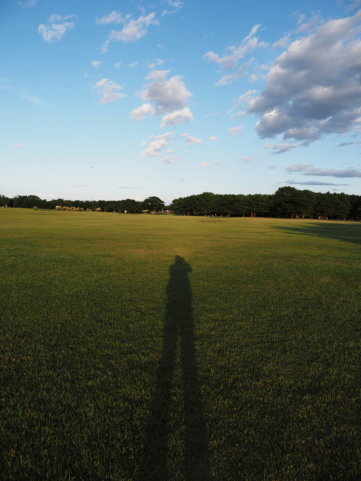 PA070216.jpg