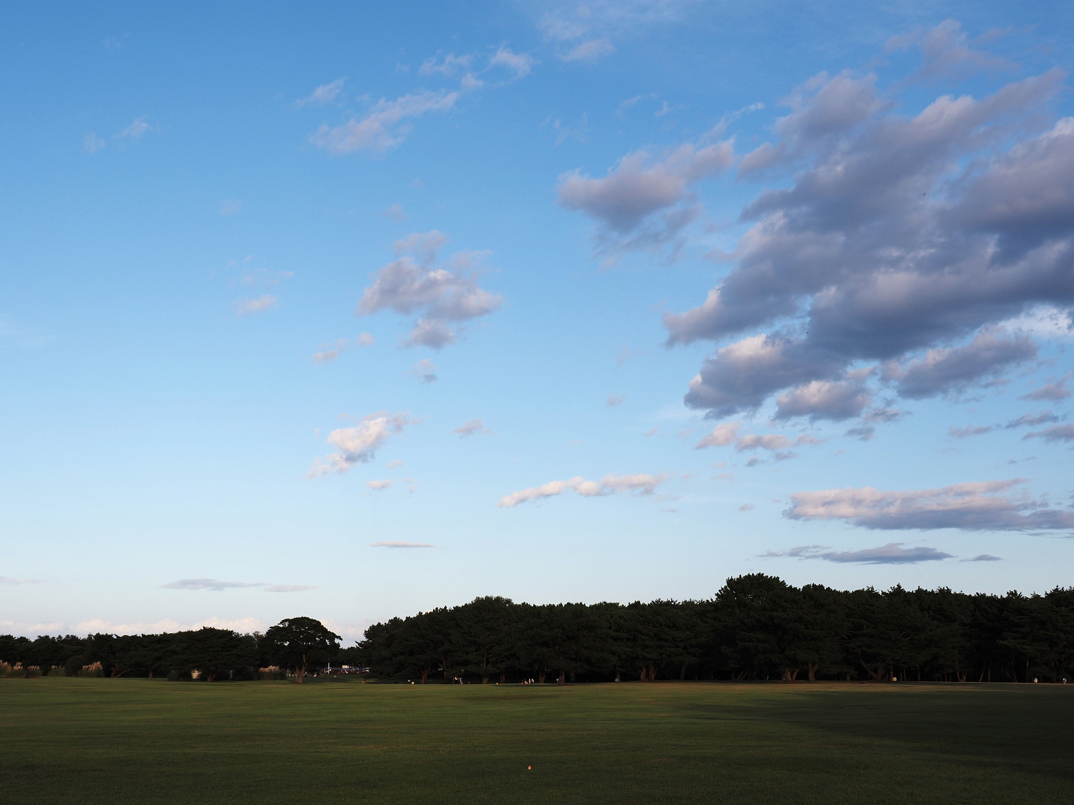 PA070221.jpg