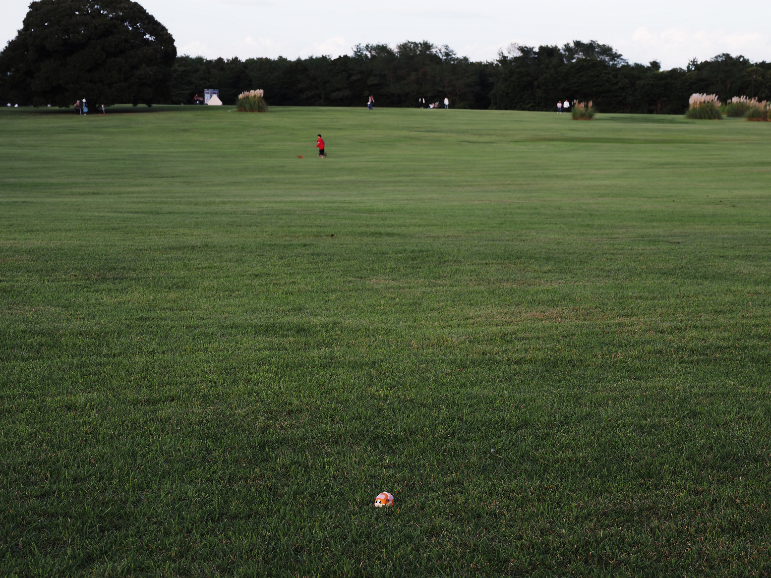 PA070223.jpg