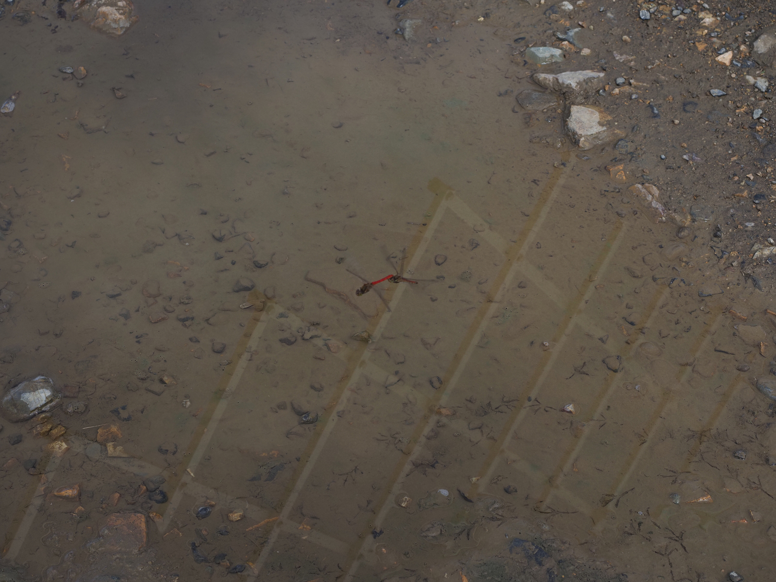 PA140276.jpg