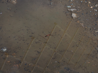 PA140276_thumb.png