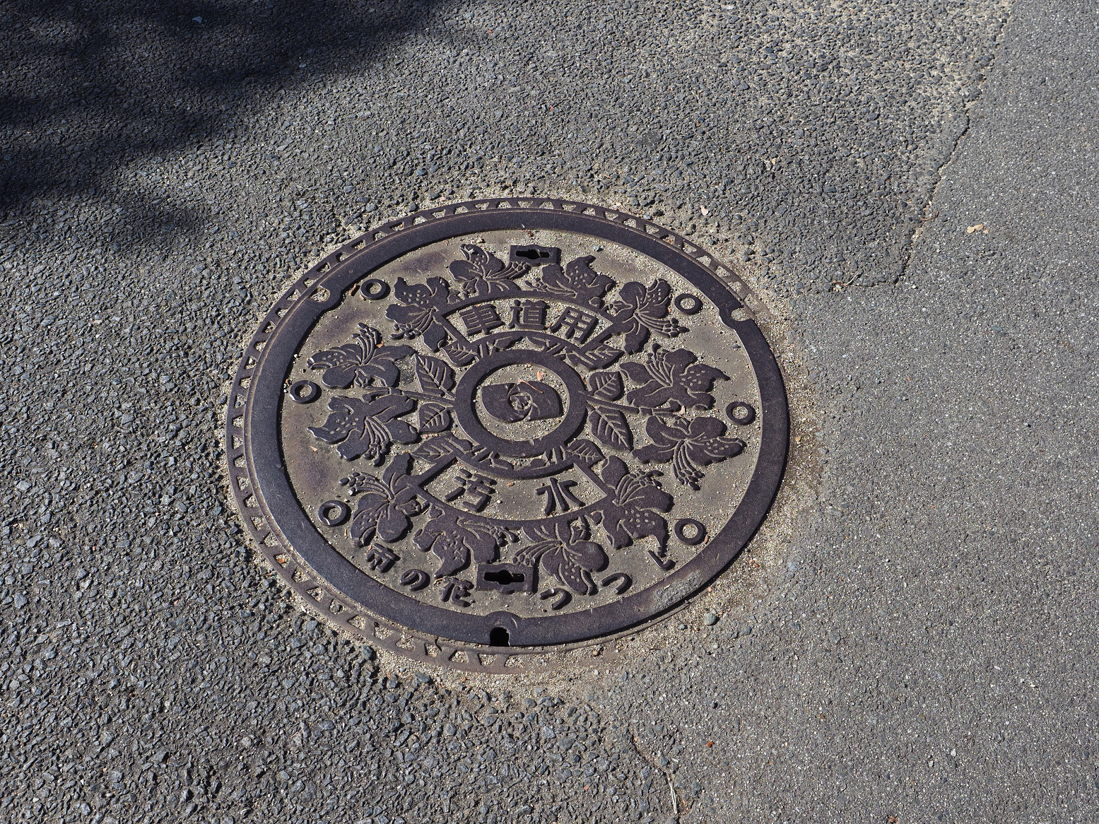 PA140386.jpg