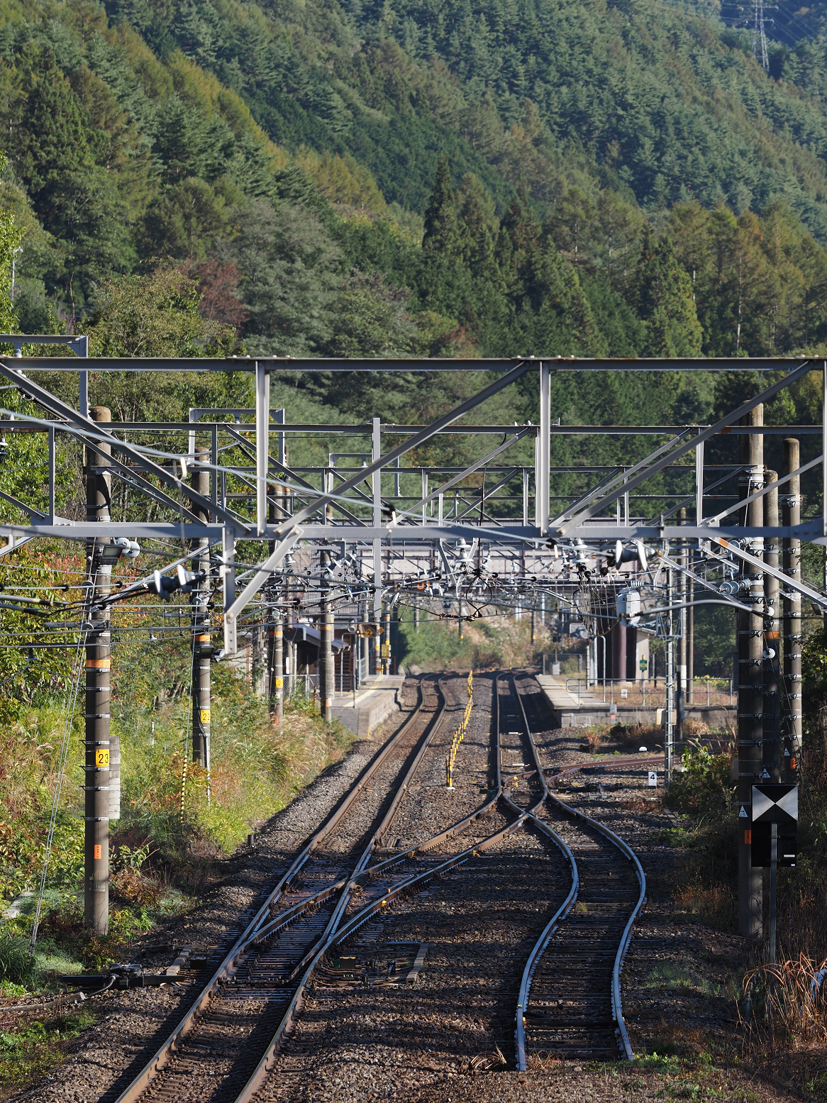 PA170457.jpg