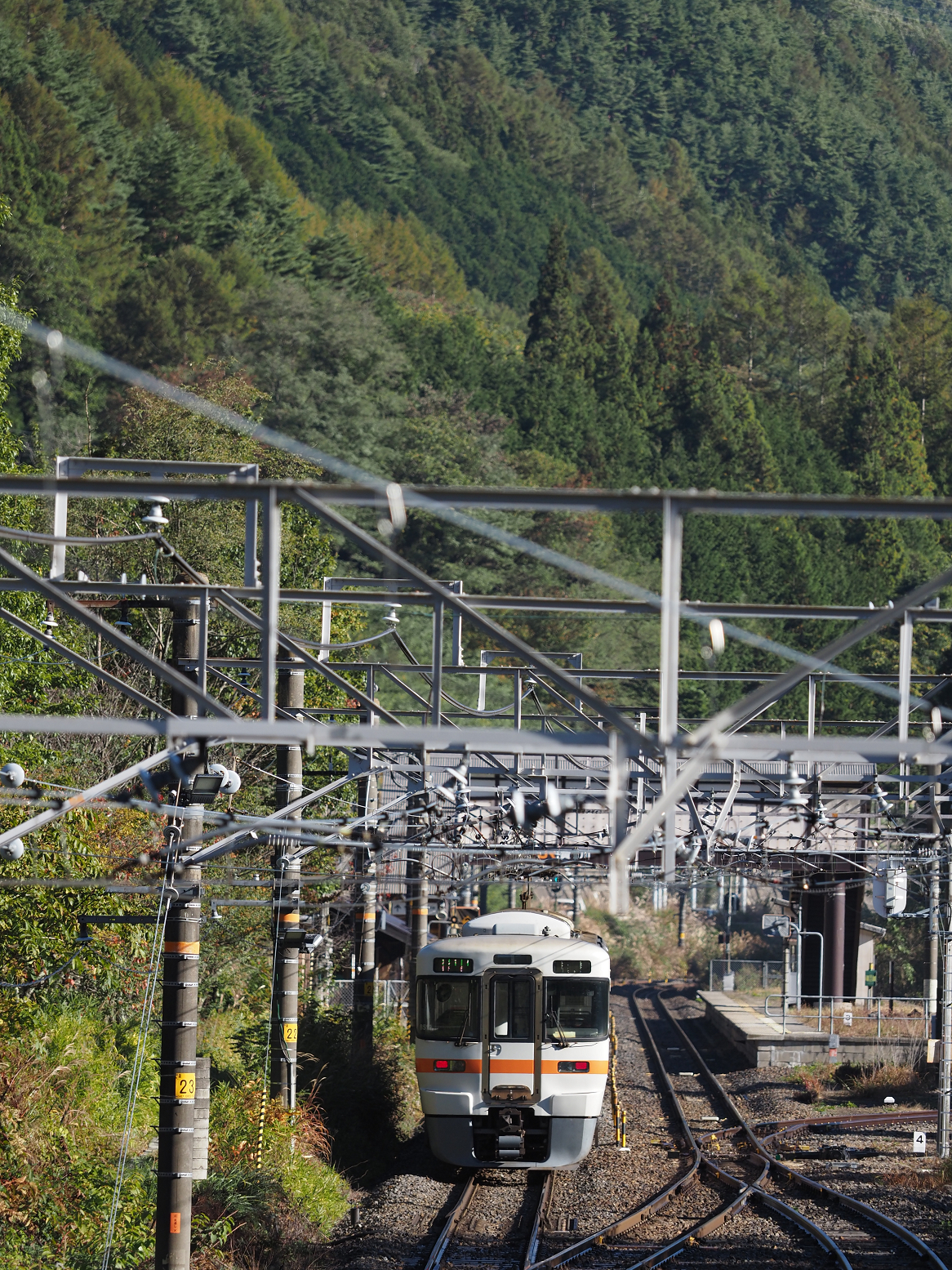 PA170464.jpg