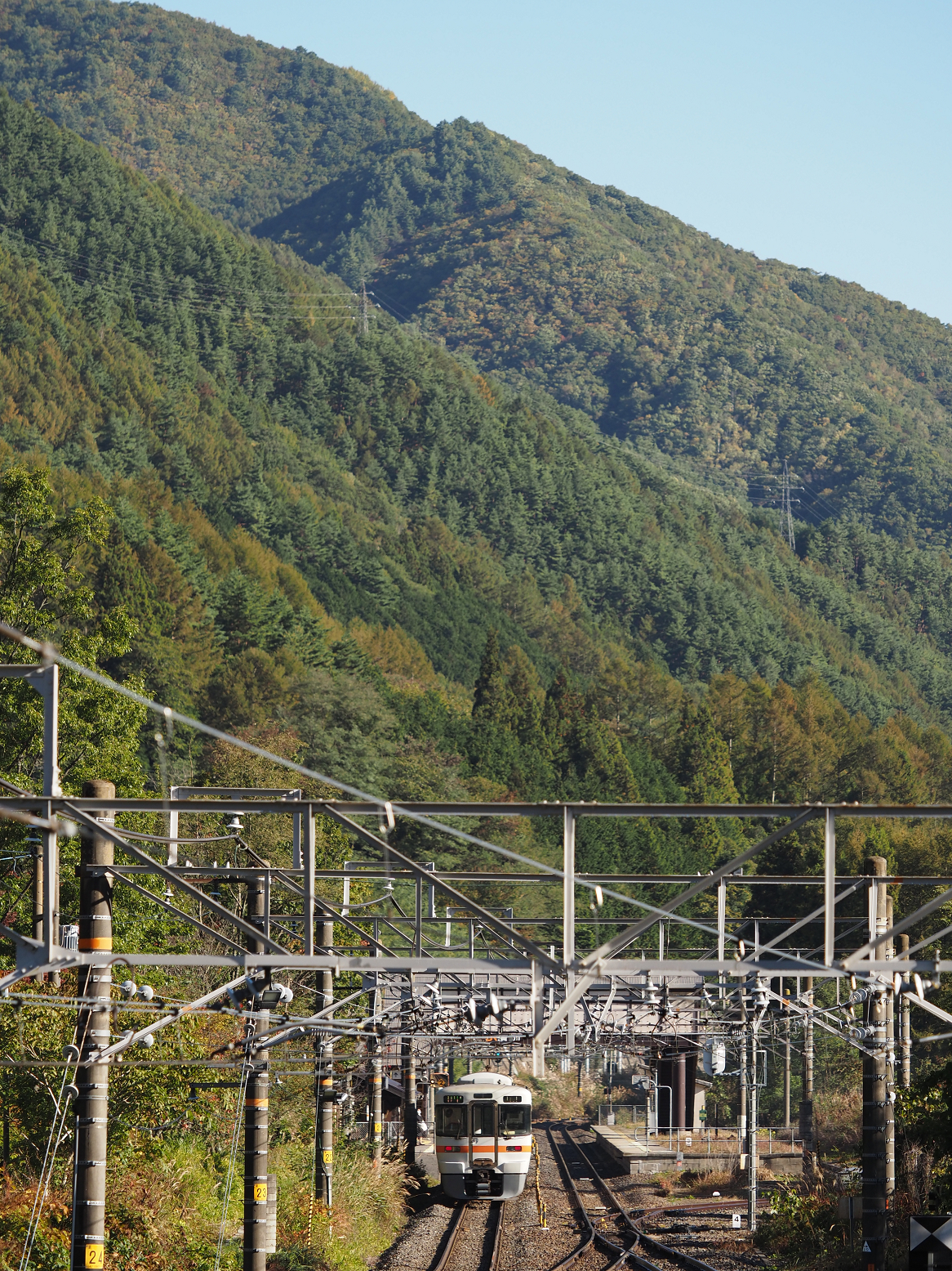 PA170465.jpg