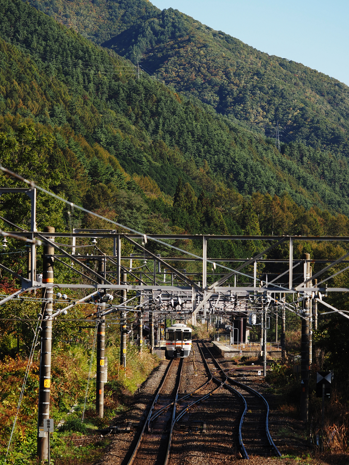 PA170466.jpg