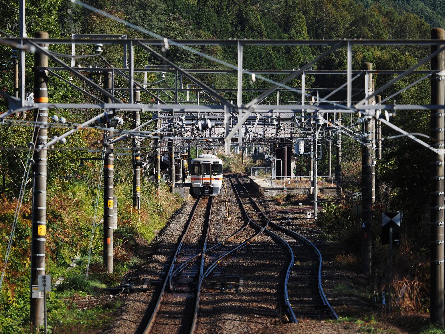 PA170467.jpg
