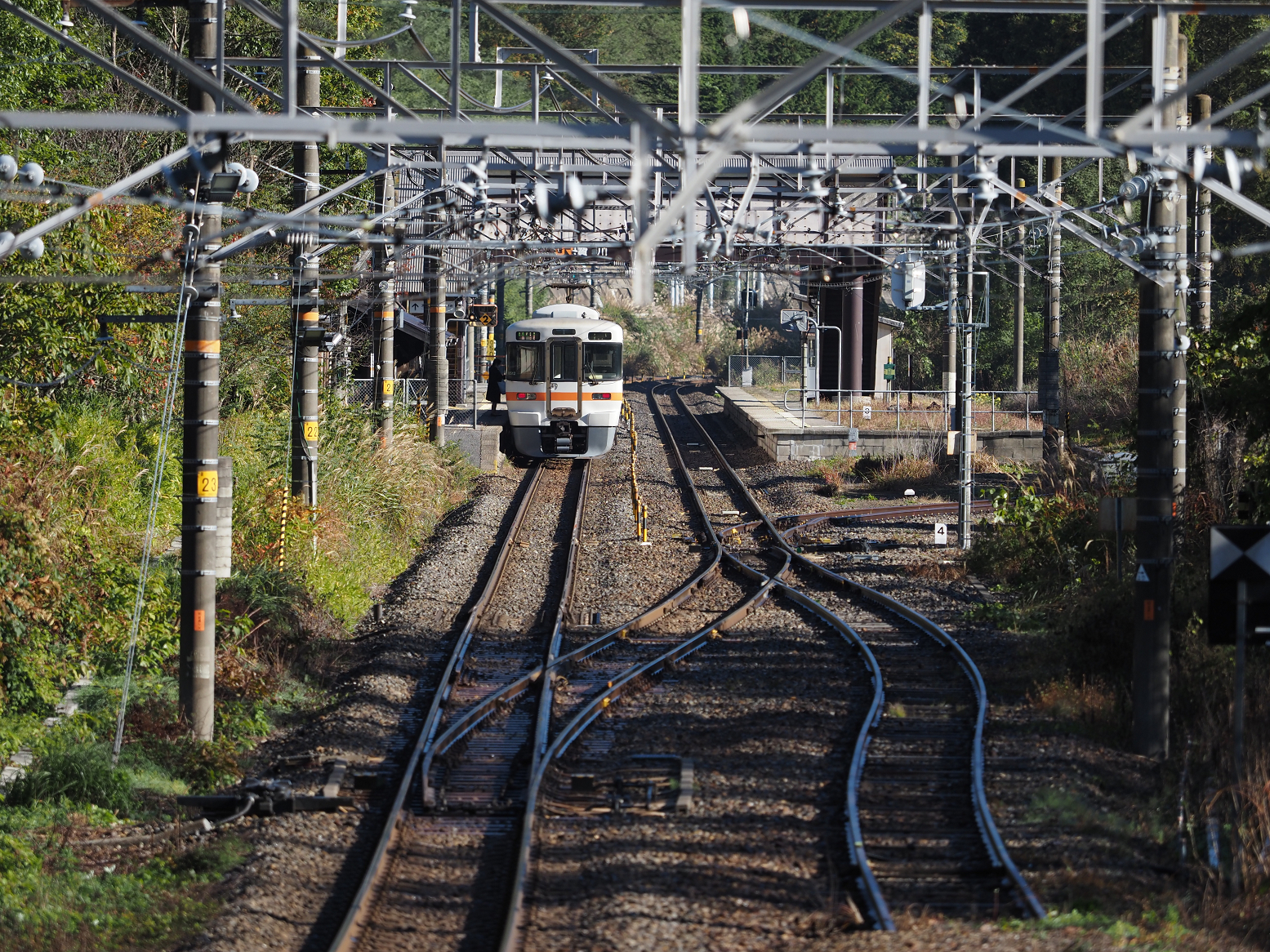 PA170468.jpg