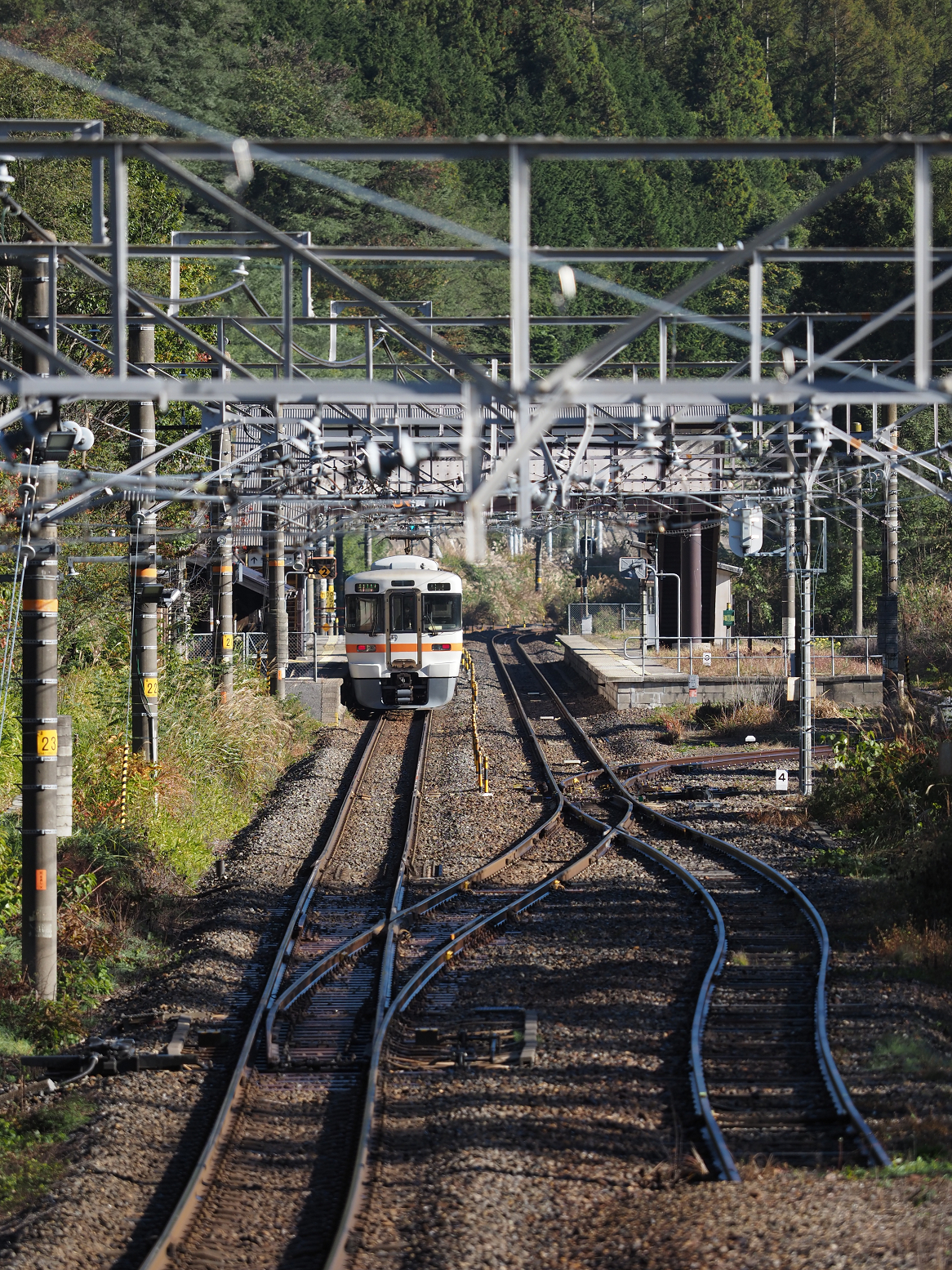 PA170469.jpg