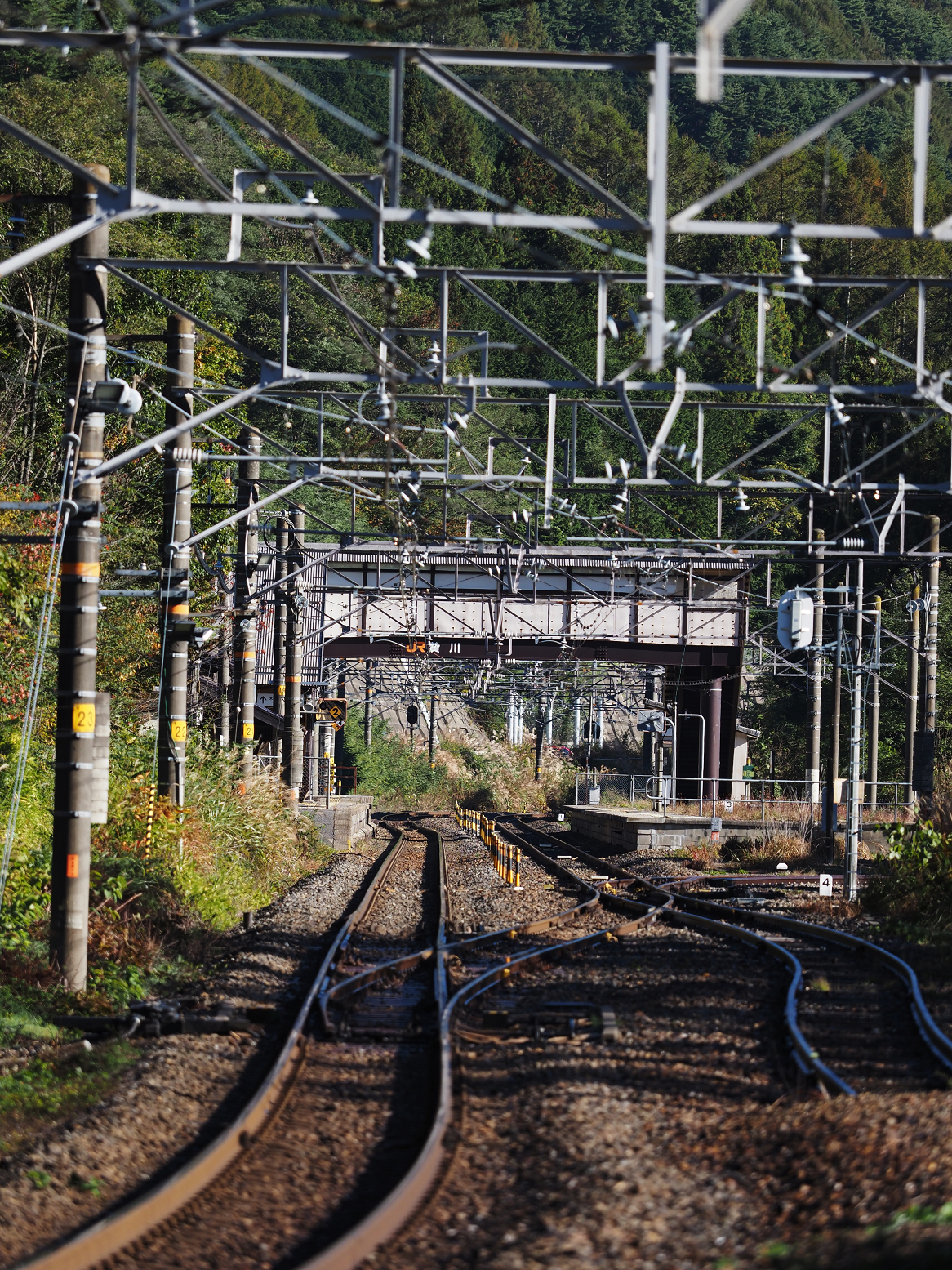 PA170478.jpg