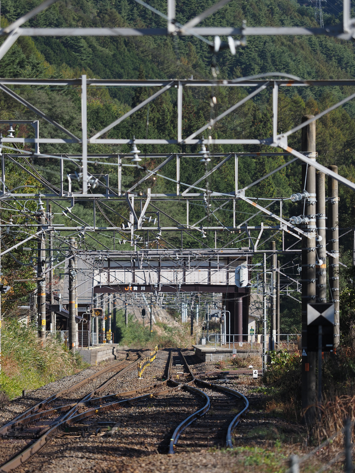 PA170480.jpg