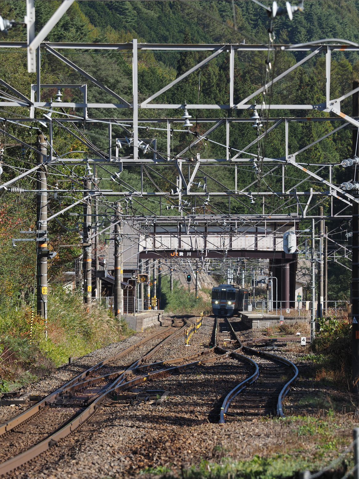 PA170484.jpg