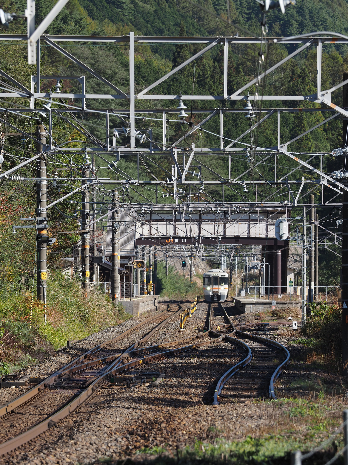 PA170485.jpg