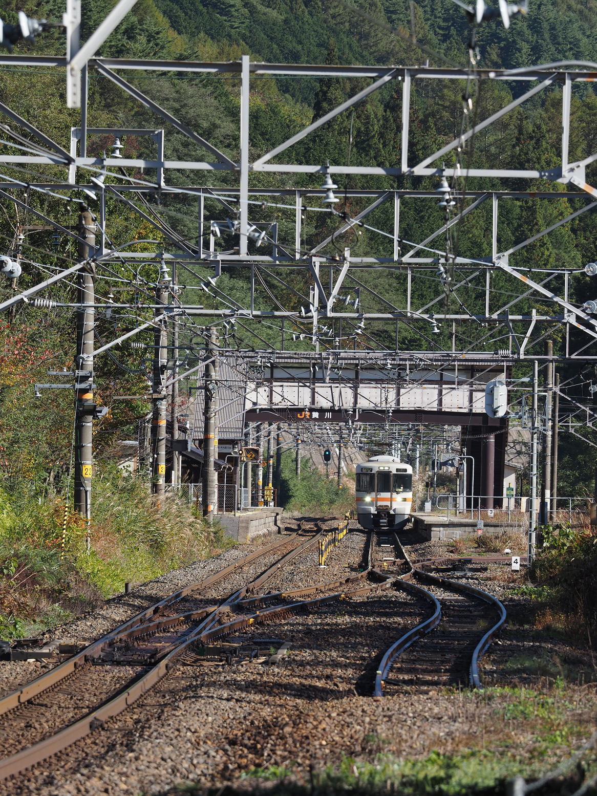 PA170491.jpg