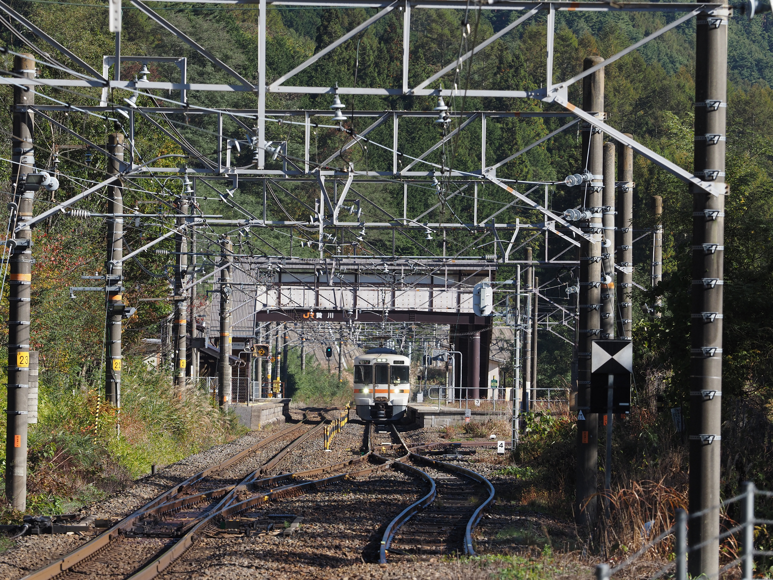 PA170493.jpg