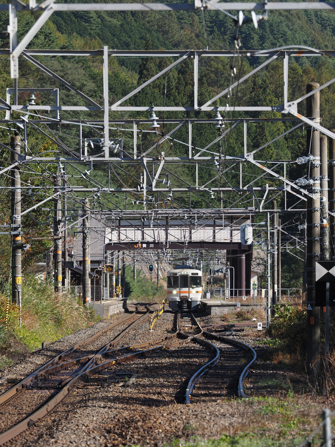 PA170494.jpg