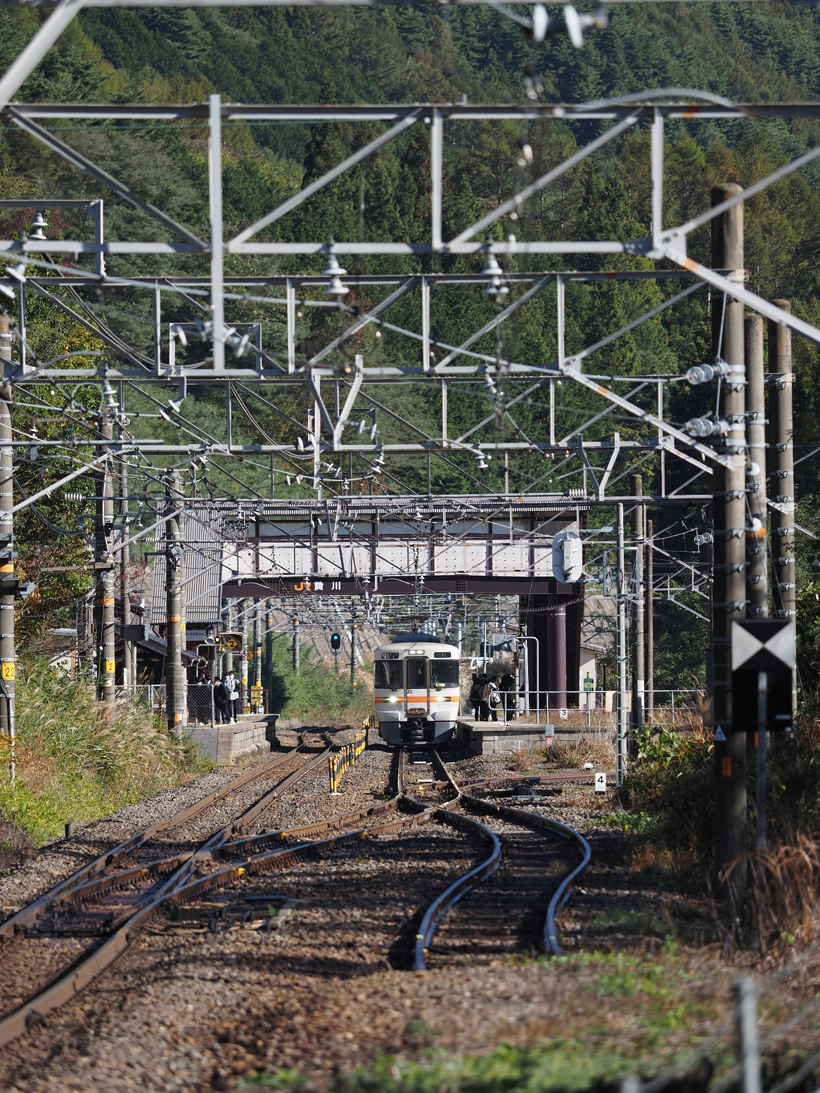 PA170499.jpg