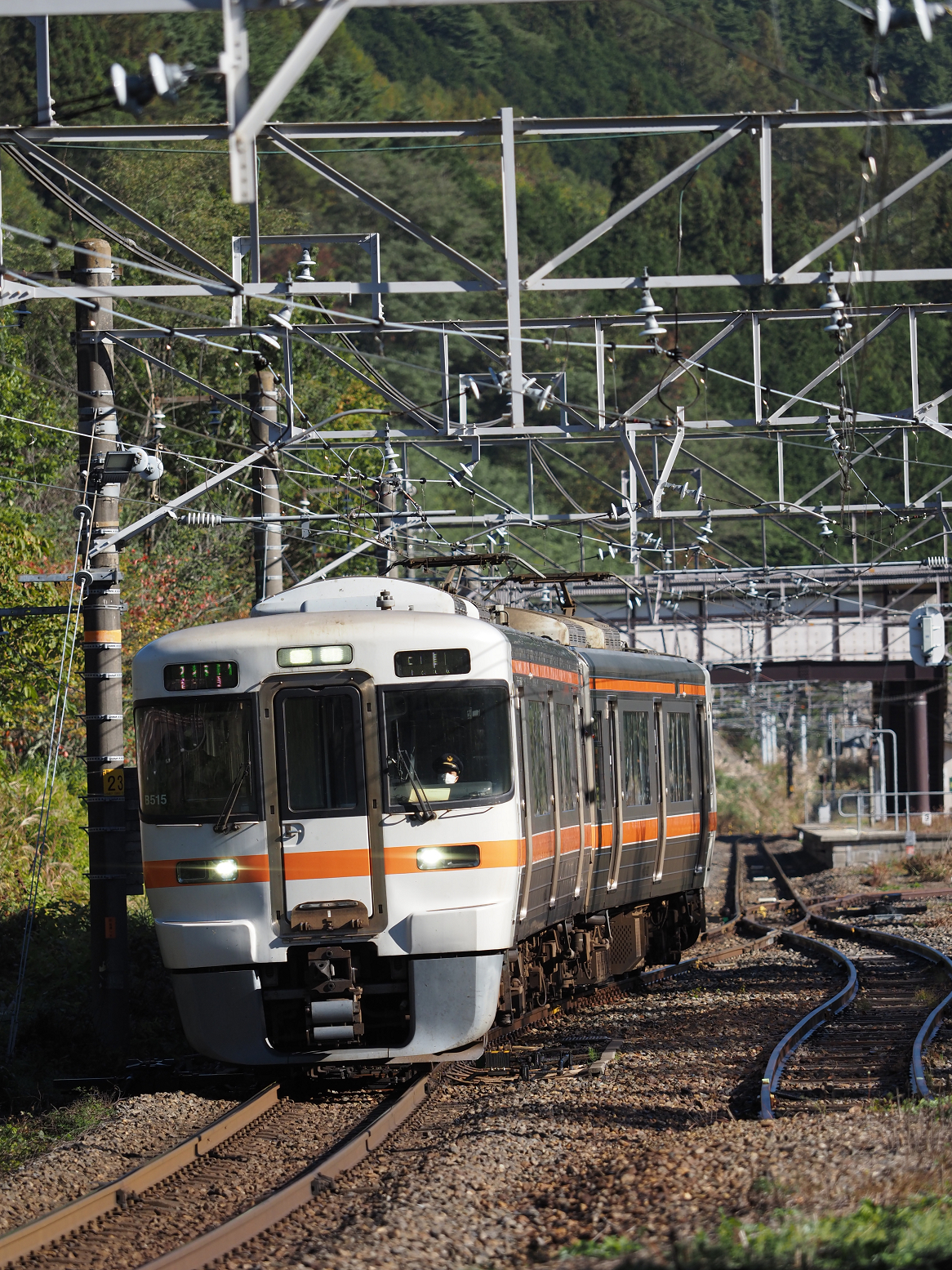 PA170510.jpg