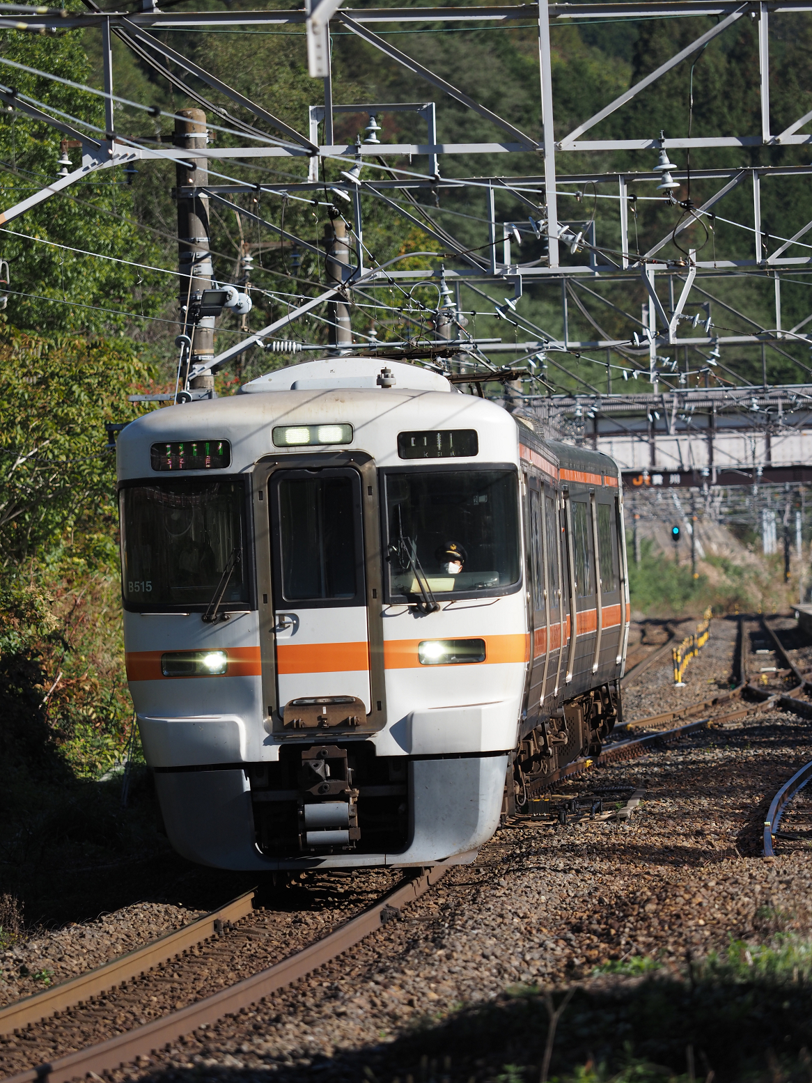 PA170511.jpg