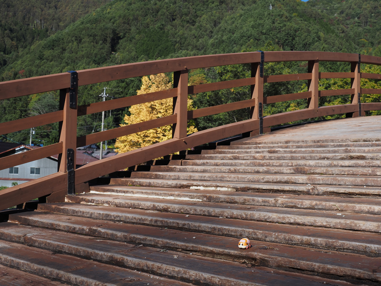PA170527.jpg