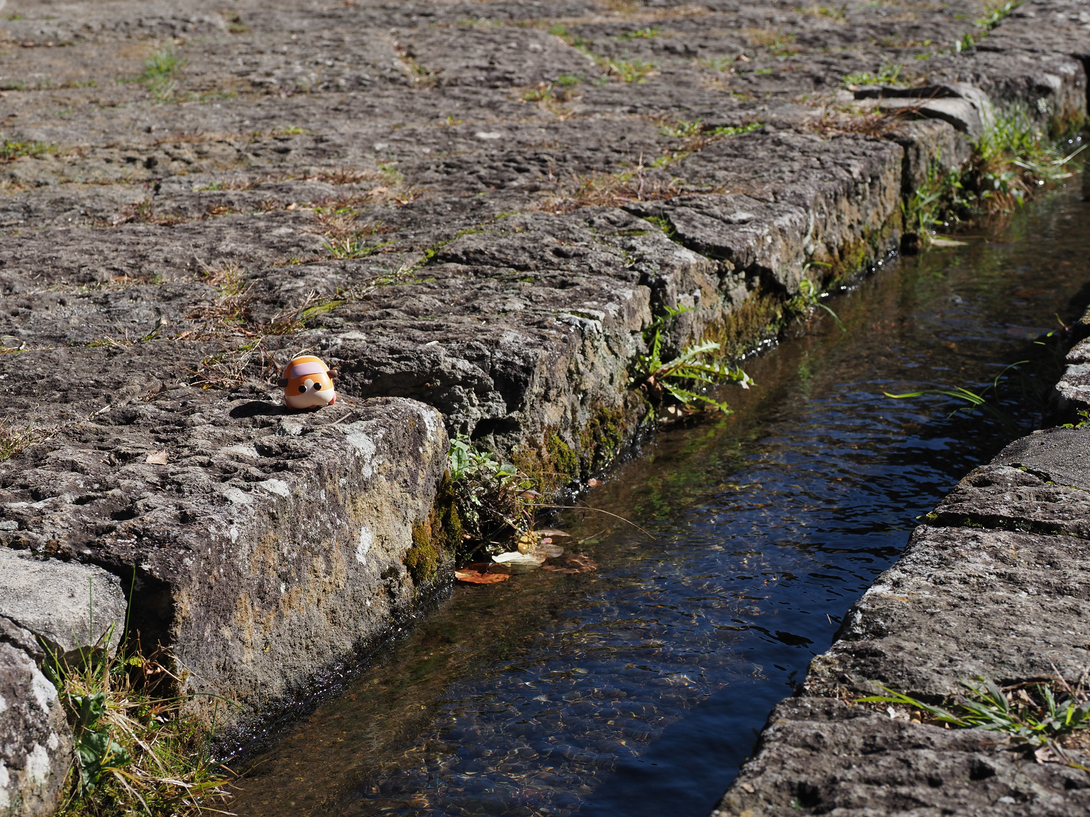 PA170533.jpg