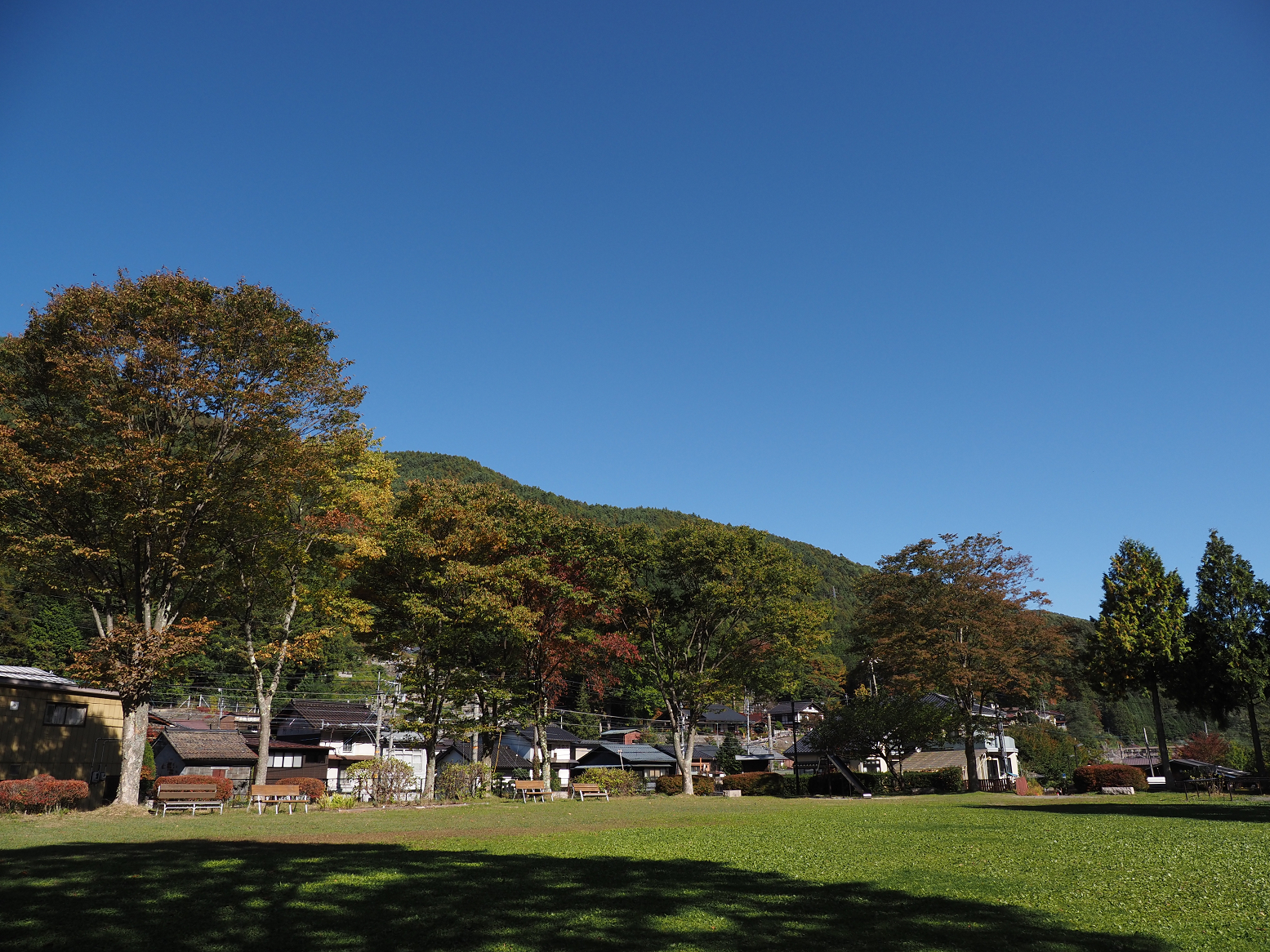 PA170535.jpg