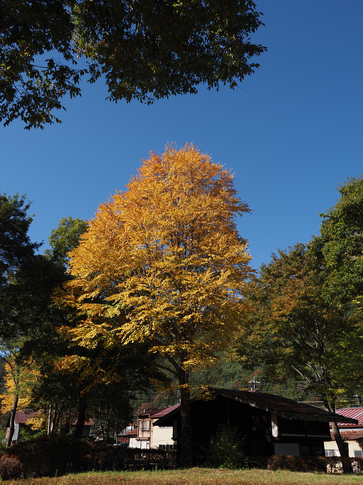 PA170536.jpg