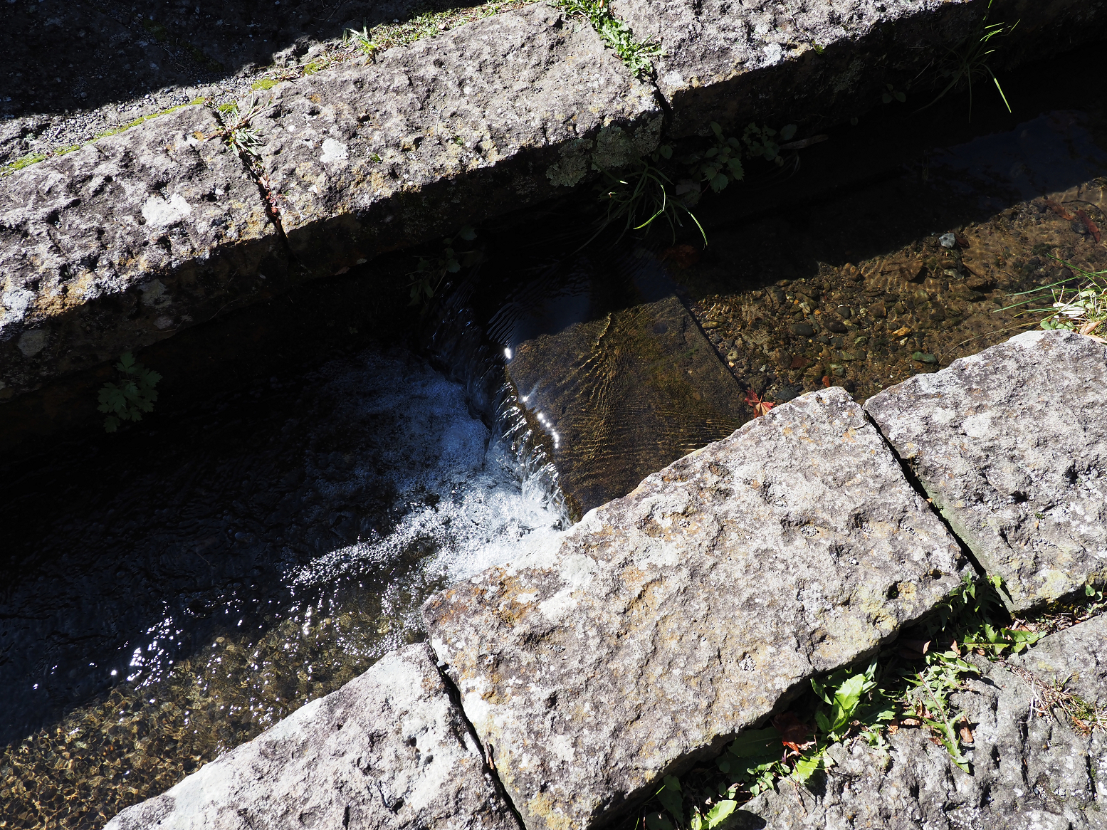 PA170545.jpg