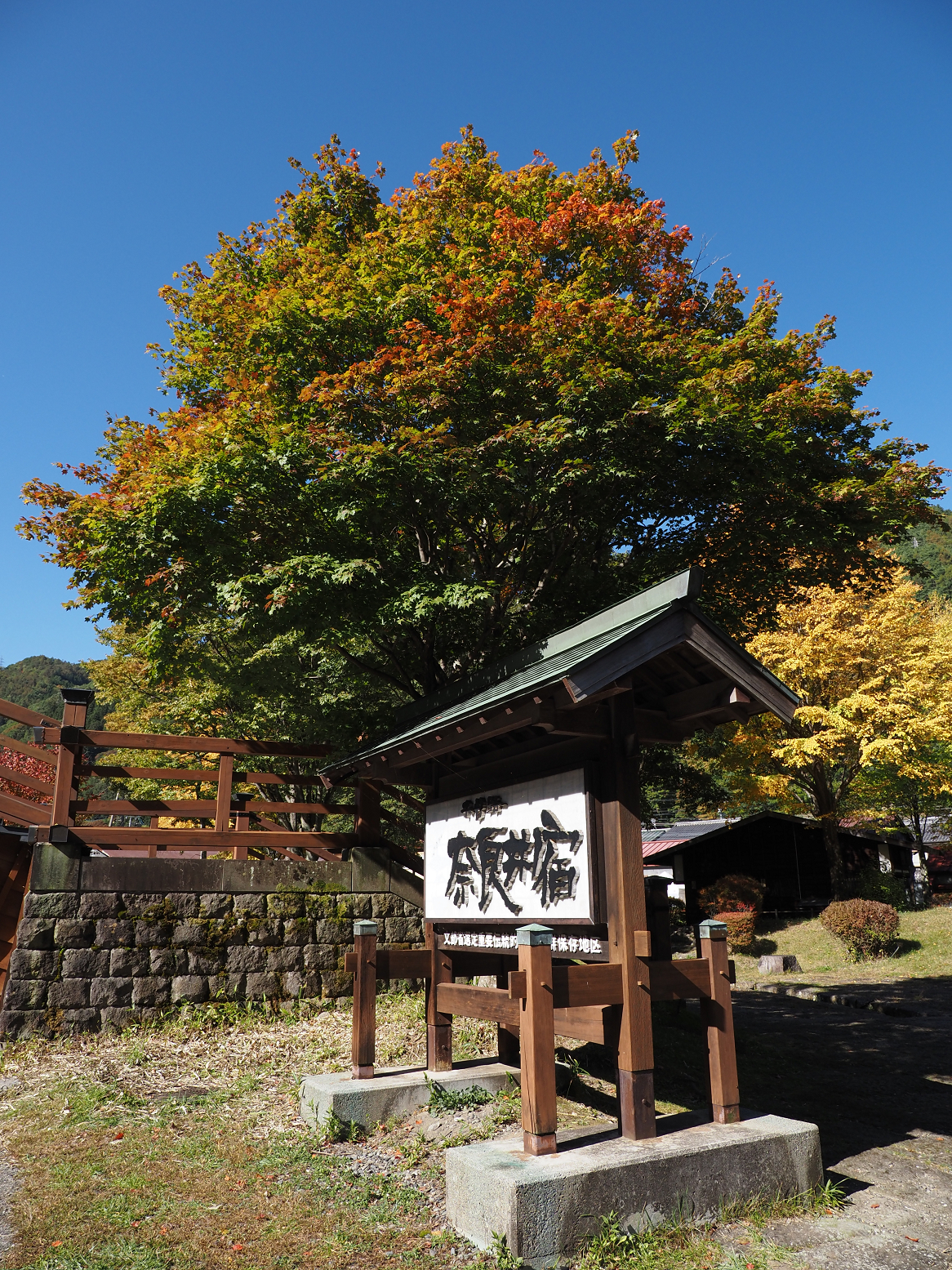 PA170546.jpg