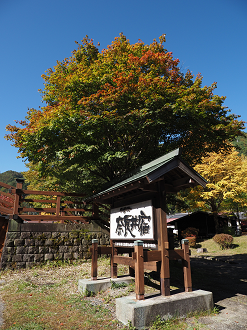 PA170546_thumb.png