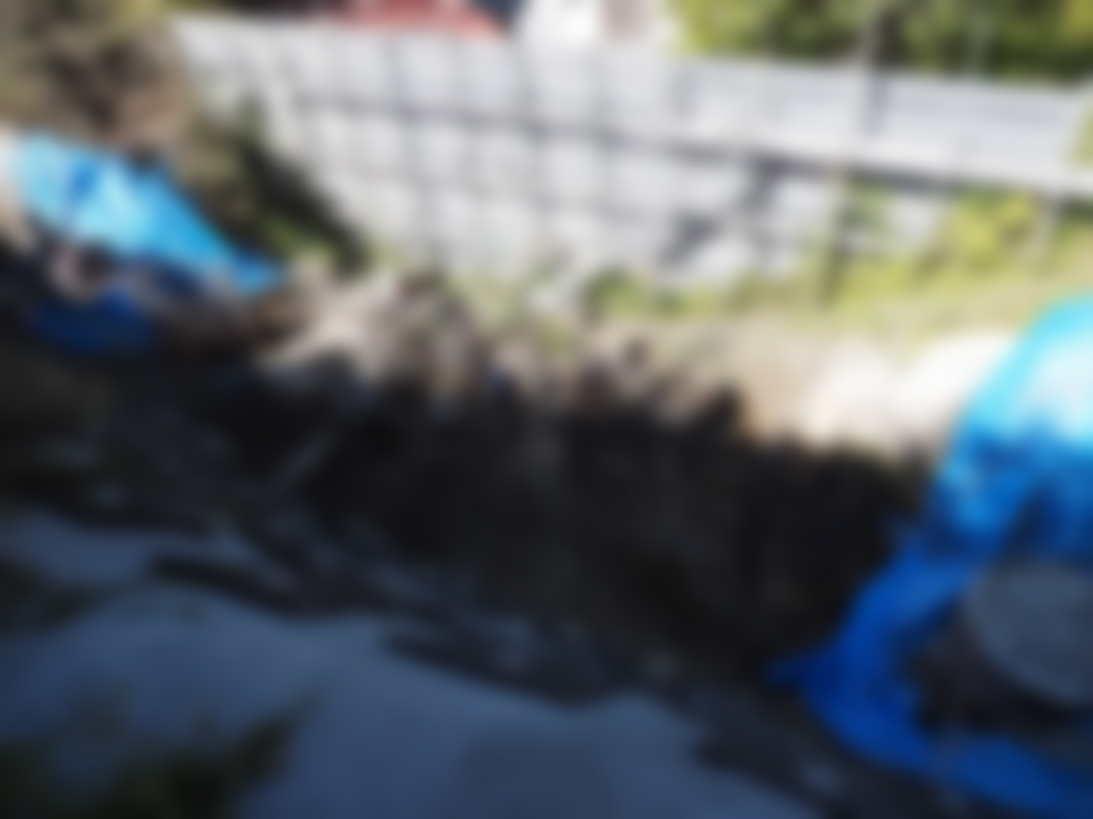 PA170559.jpg
