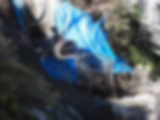 PA170562_thumb.png