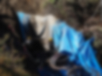 PA170570_thumb.png