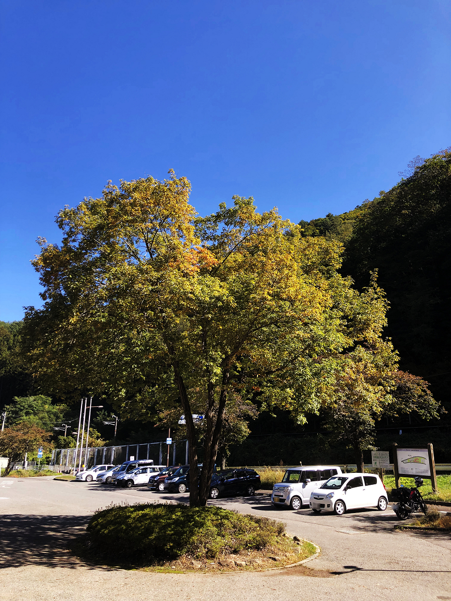 PA170572-031.jpg