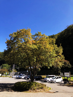 PA170572-031_thumb.png