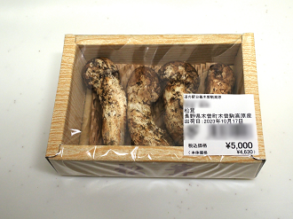 PA170574_thumb.png