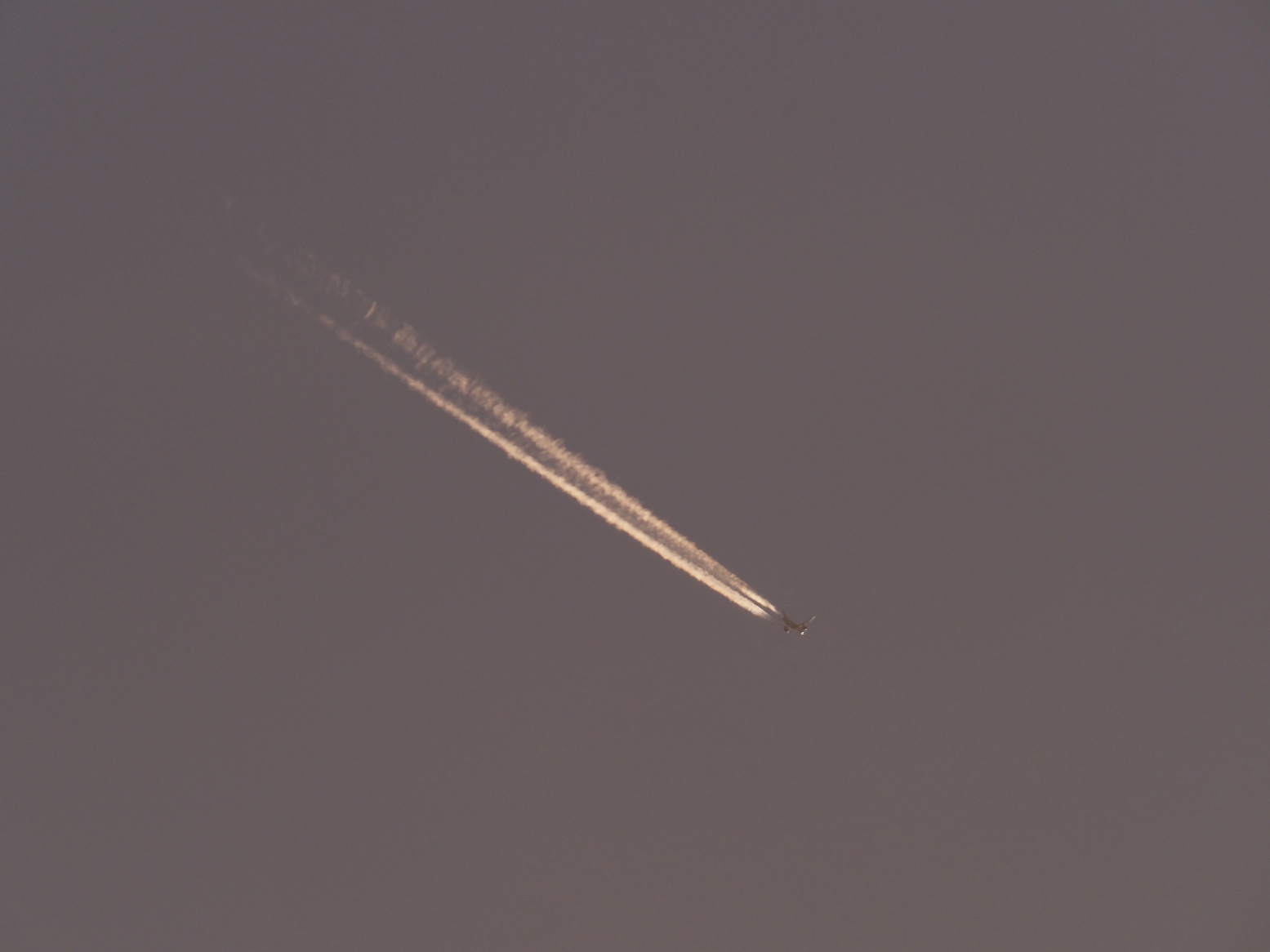 PB235083.jpg