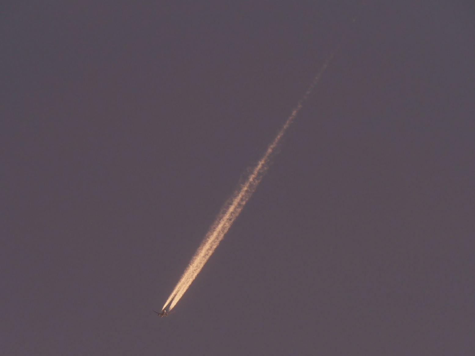PB235157.jpg