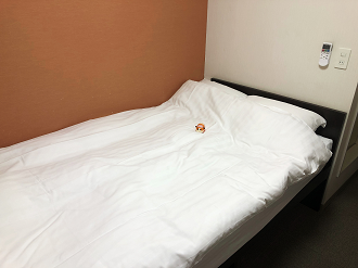 PB236045_thumb.png