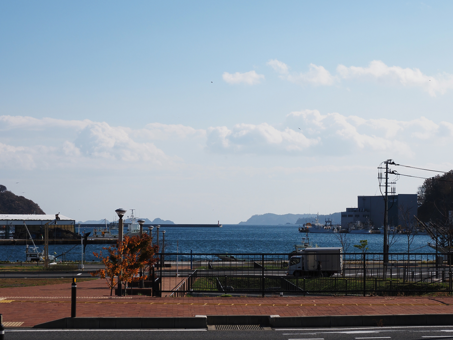 PB236097.jpg