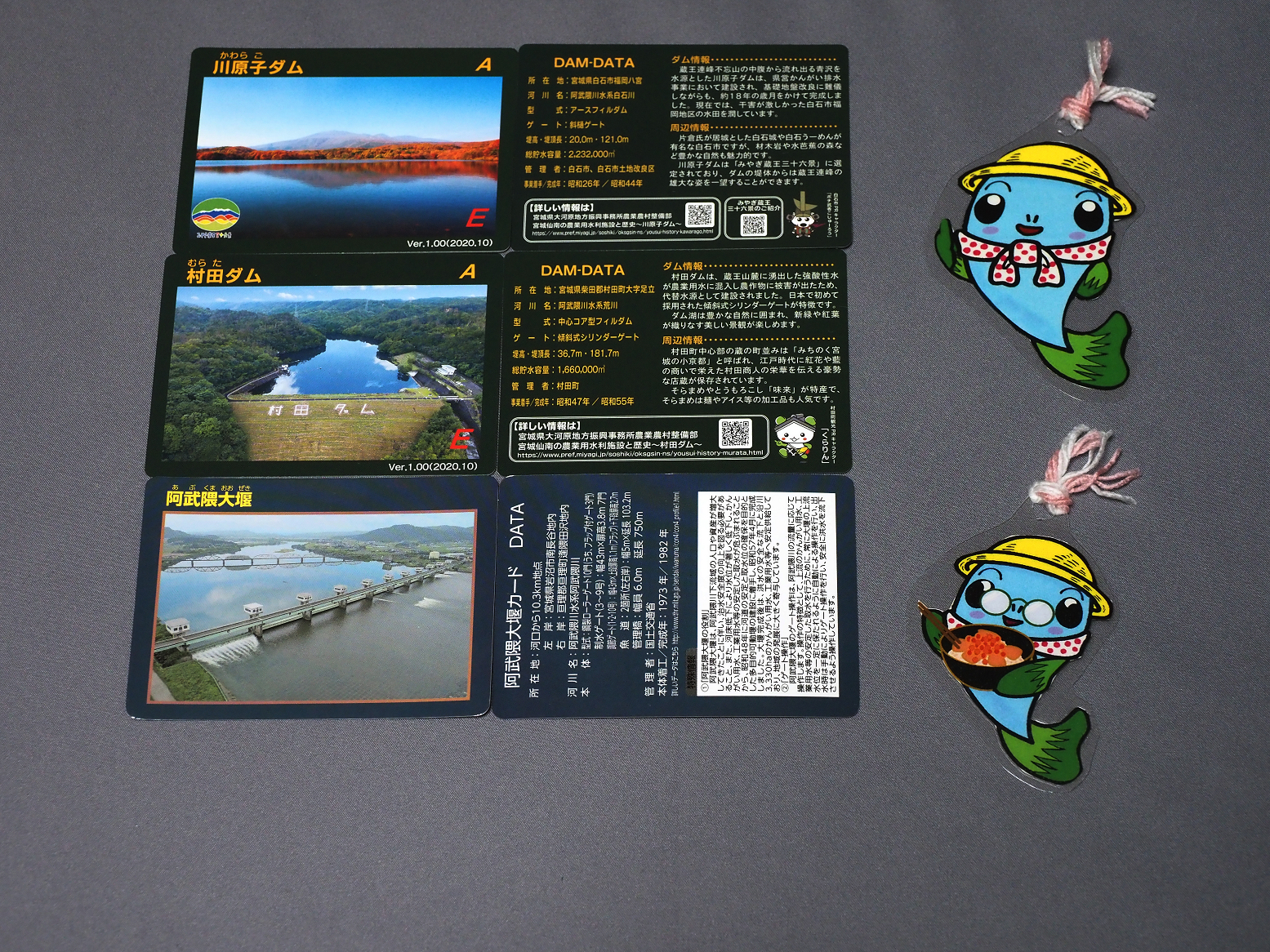 PB236257.jpg