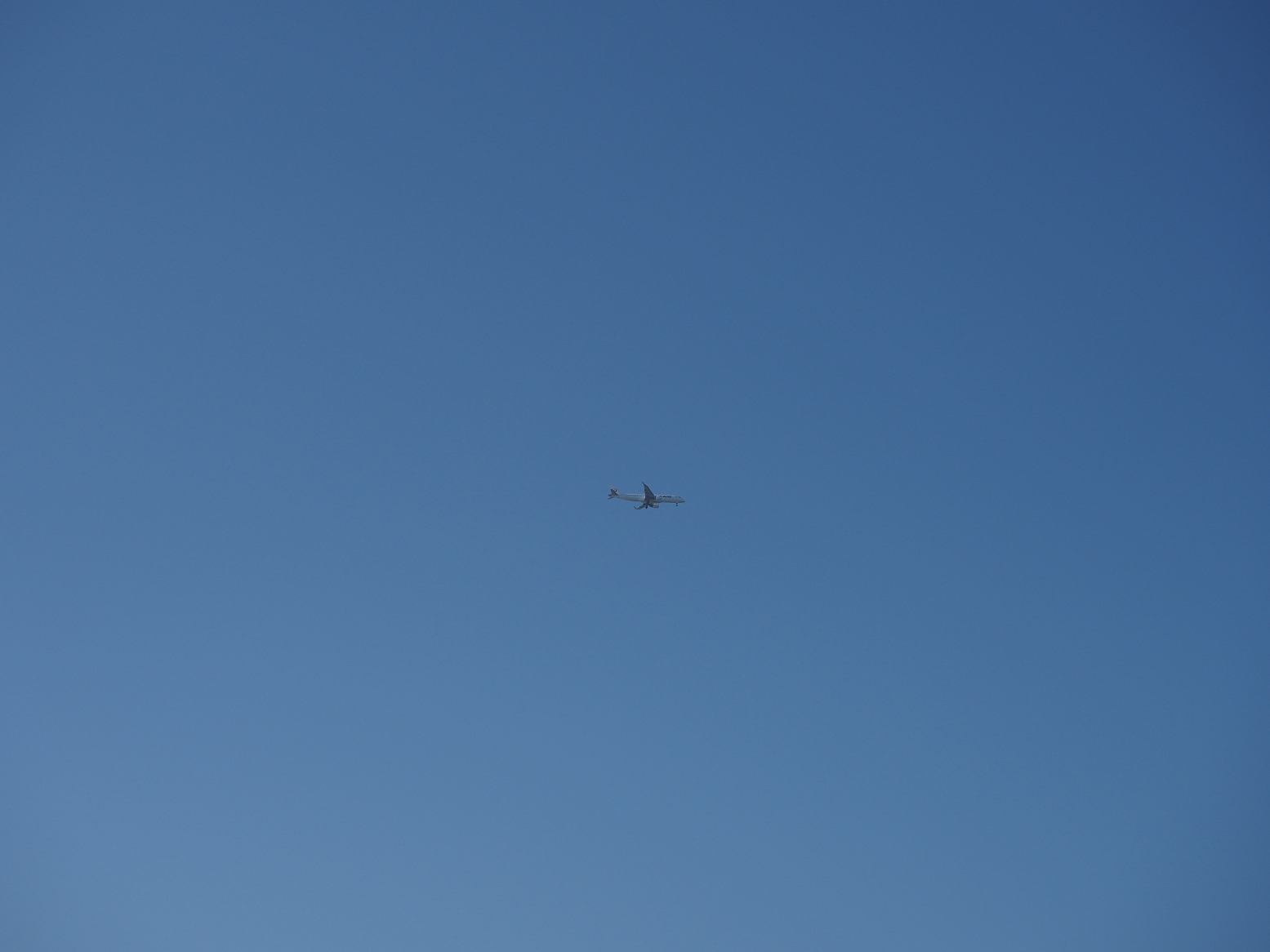 PC090932.jpg