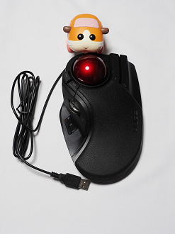 PC281130_thumb.png
